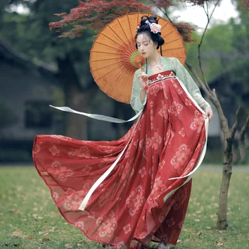 Hanfu Originale Принцесса Вышивка Традиционное женское платье Hanfu Древние китайские костюмы Красивый халат Династии Танцев Одежда